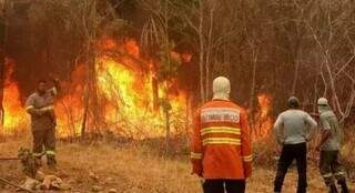 Bombeiros trabalhando no controle de incêndio no Pantanal (Foto: Arquivo Campo Grande News)