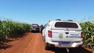 Viaturas no local onde carro usado por criminosos ficou escondido (Foto: Divulgação/Polícia Civil)