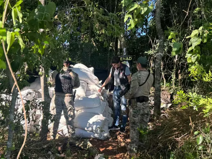 Polícia paraguaia desfaz entreposto com dois hectares de maconha