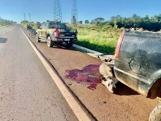 O condutor da moto precisou de atendimento e o animal morreu no local (Foto: Radio Caçula)