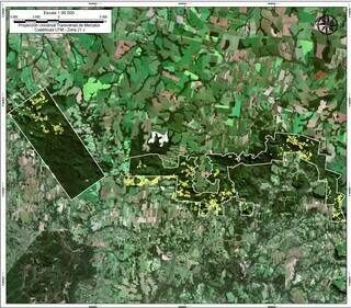Pontos amarelos em imagem de satélite são lavouras de maconha no meio do parque nacional (Foto: Reprodução)