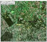 Imagem de satélite mostra avanço de lavouras de maconha em parque nacional