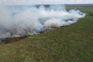 Fogo registrado próximo da BR-487, em Ivinhema (Foto/Divulgação/Corpo de Bombeiros)