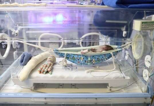 Rede em incubadora &eacute; afago para beb&ecirc;s prematuros nas dores do tratamento 