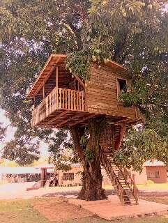 Aos 53 anos, Joab constrói casas na árvore para quem sempre sonhou