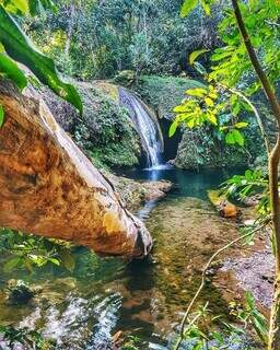 Cachoeira do Encantado tem água cristalina e está localizada a cerca de dois quilômetros da acomodação (Foto: Arquivo Pessoal)