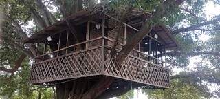 Primeira casa na árvore feita pelo artista, na cidade de Dourados (Foto: Arquivo Pessoal)