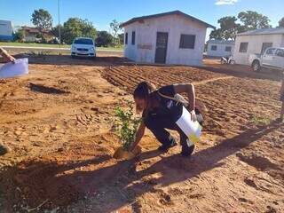 Auxiliar administrativo Ana Paula plantando muda de árvore no quintal (Foto: Fernanda Palheta)