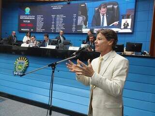 Deputado Paulo Duarte, integrante da comissão, em sessão hoje na Alems (Foto: Fernanda Palheta)
