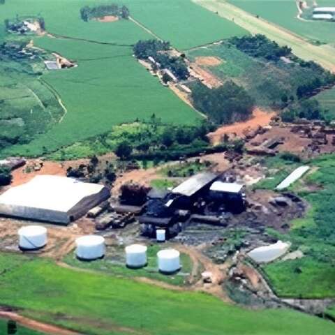 TJSP suspende leil&atilde;o milion&aacute;rio de fazendas de usina fechada em MS