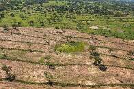 Desmatamento no Pantanal tem queda, mas Corumbá é o maior devastador do bioma