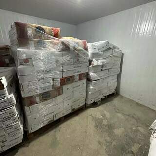 Caixas de carne vencida embalada para ser enviada para estabelcimentos comerciais (Foto: Direto das Ruas)