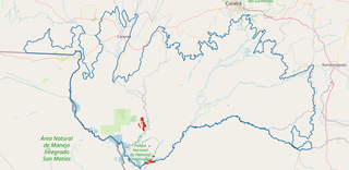 Em monitoramento em tempo real, pontos vermelhos no Pantanal mostram focos de incêndio (Imagem: Reprodução/Plataforma Lasa)