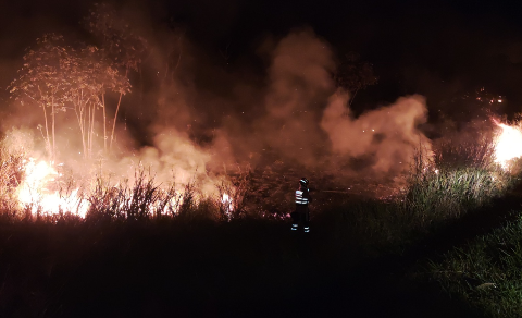 Fogo na divisa de MT e MS, no Pantanal, mobiliza bombeiros há 2 dias