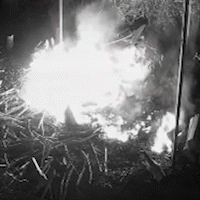 Vídeo mostra fogo que iniciou em caldeira e destruiu estoque de pneus 