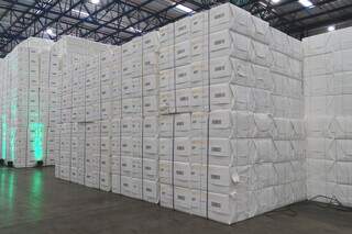 Celulose em fábrica de MS pronta para o embarque; em volume, a exportação do produto cresceu 26%. (Foto: Arquivo/Semadesc)