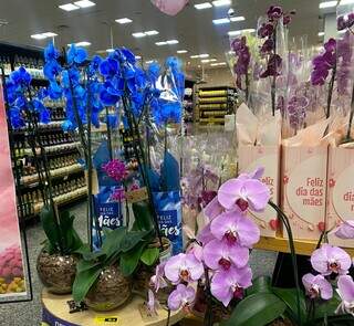Arranjo de orquídea preparado para vendas em supermercado (Foto: Henrique Kawaminami)