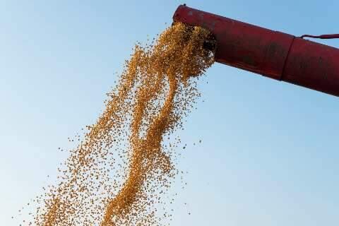 Ajustes na área de milho e soja resultam em produção de 295 milhões de toneladas