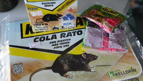 Surto de ratos movimento comércio de armadilhas no Tiradentes