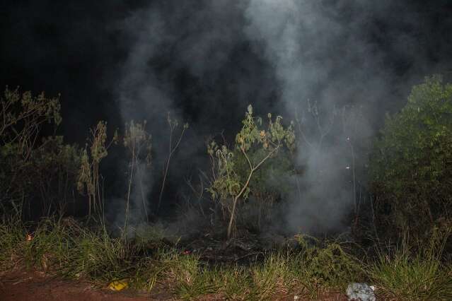 Incêndio consome 4 hectares de área verde nos altos da Afonso Pena