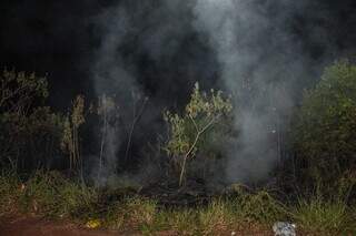 Fumaça encobriu área verde próxima a Avenida Afonso Pena no início da noite desta quarta-feira (15). (Foto: Juliano Almeida)
