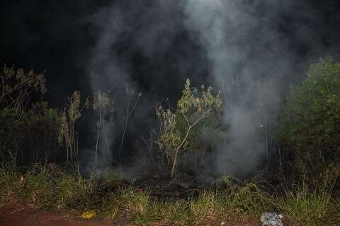 Foco de incêndio consome área verde nos altos da Afonso Pena