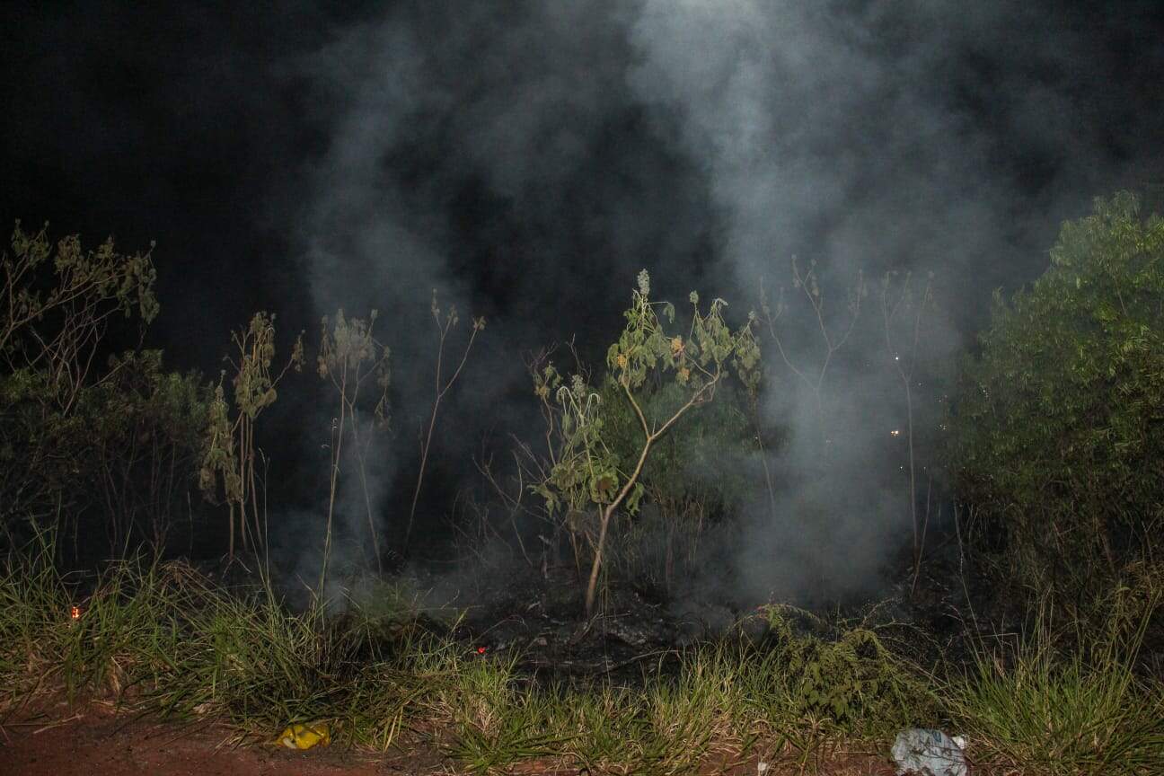 Foco de incêndio consome 4 hectares de área verde nos altos da Afonso Pena