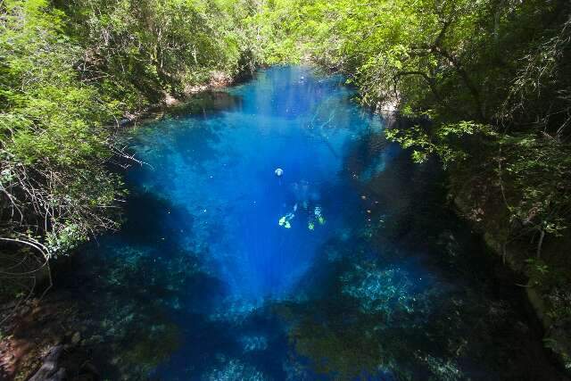 Descubra o mundo subaqu&aacute;tico da Lagoa Misteriosa 