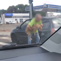 Motorista flagra idoso abandonando cachorro na rotatória da Gury Marques