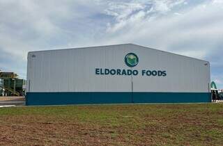 Eldorado Foods, empresa que abriu fábrica de fécula de mandioca em Eldorado (Foto: João Paulo Serafim)