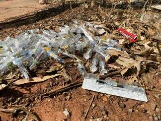 Serigas foram encontradas em tereno baldio, próximo ao cemitério Cruzeiro (Foto: Clara Farais)
