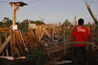 Morador vê restos de madeira que sobraram após ação de despejo da Prefeitura na região do Caiobá I(Foto: Paulo Francis)