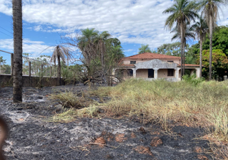 Parte do terreno que foi incêndio nesta manhã (Foto: Clara Farias) 