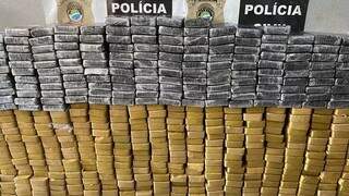 Carga de cocaína apreendida pela Denar (Foto: Antonio Bispo)