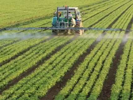 Assembleia debate falta de dados e uso de agrotóxico em alimentos