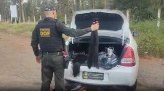 Policial do DOF segurando parte da carga de cabelo apreendida (Foto: Divulgação | DOF)