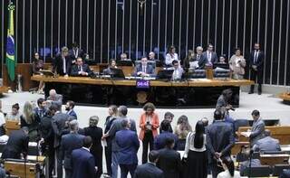 Deliberação dos vetos no plenério do Congresso Nacional (Foto: Zeca Ribeiro/Câmara dos Deputados)