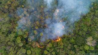 Pantanal de MS ardendo em chamas (Foto: Silas Ismael/WWF)