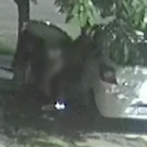 Casal é flagrado fazendo sexo na calçada sem preocupação nenhuma