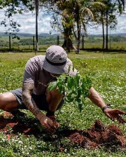 Para restaurar mata ciliar do Rio Formoso, grupo planta 250 mudas