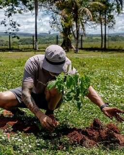 Coletivo sul-mato-grosense plantou mais de mil árvores desde que foi criado. (Foto: @soufabriciobarreto)