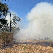 Incêndio atinge 6 hectares de seminário e fumaça pode ser vista a 5,1 km