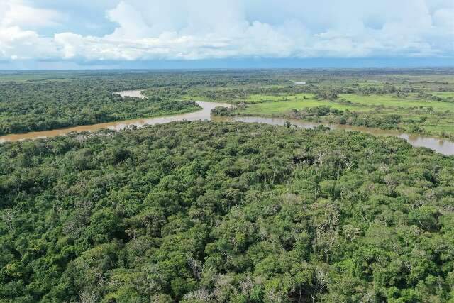 Portaria federal oficializa reserva de prote&ccedil;&atilde;o &agrave; on&ccedil;a-pintada