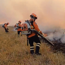 Incêndios em Corumbá já queimaram 5 mil hectares em uma semana
