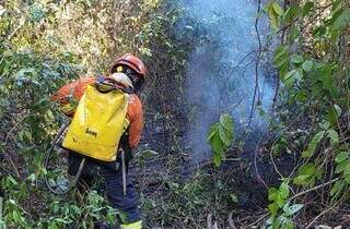 Bombeiros trabalham em 3 pontos de inc&ecirc;ndios no Pantanal