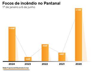 Para Pantanal n&atilde;o repetir 2020, intelig&ecirc;ncia artificial &eacute; aposta contra fogo