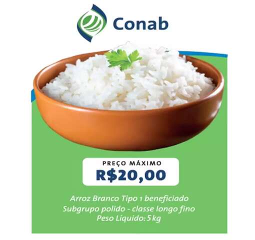 Conab arremata 263,3 mil toneladas de arroz; MS deve receber 3,1 mil toneladas
