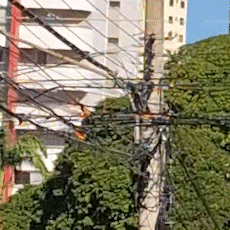 No centro da Capital, fia&ccedil;&atilde;o pega fogo por mais de uma hora
