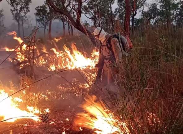 Proprietária tenta reverter multa de R$ 19 milhões por incêndio de 69 fazendas