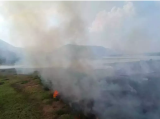 Moacir narra que forma de levantar a voz sobre incêndios no Pantanal pode ser com a música. (Foto: Corpo de Bombeiros)